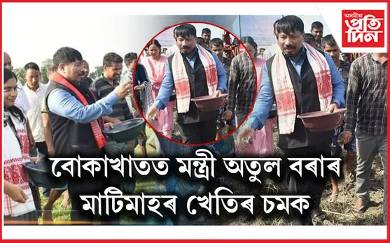 বোকাখাতত মন্ত্ৰী অতুল বৰাৰ মাটিমাহৰ খেতিৰ চমকঃ ১০০০ বিঘাৰ খেতিত বিঘায়ে প্ৰতি উৎপাদন হ'ল মাত্ৰ ১ কিঃগ্ৰাঃ মাহ...
